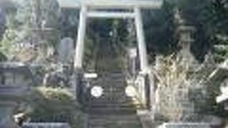 何故か八幡様の家紋である「左三つ巴」が