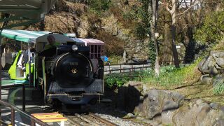 小田原城のおさるさんも、こども遊園地も健在。