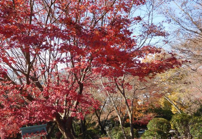 ハイキングコースのある公園