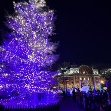 中之島公会堂近く