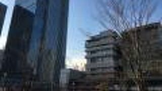 芝生とバスケットコート