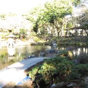 気がつかなかった！佐野美術館の日本庭園です