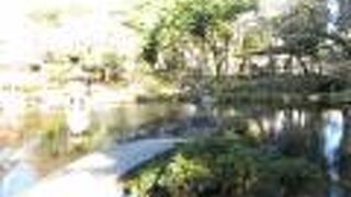 気がつかなかった！佐野美術館の日本庭園です