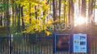 石神井川沿いにある東京都の有形文化財に指定された遺跡です。