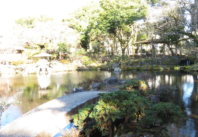 気がつかなかった！佐野美術館の日本庭園です