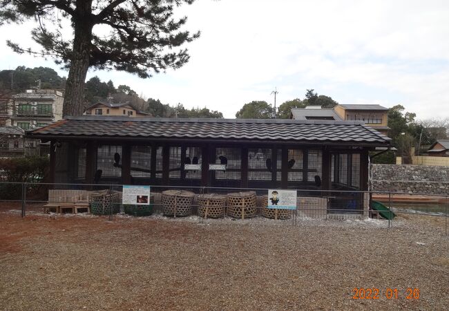 宇治公園の塔の島に鵜飼い小屋がありました。