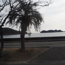 田井ノ浜海水浴場