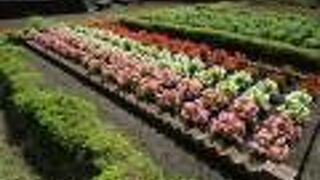 きれいな花と時計のモニュメント