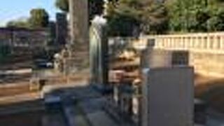 観光客が群がっていました