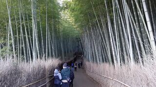 嵐山・嵯峨野の象徴的な景色