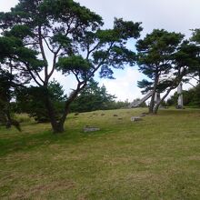 美しの原高原