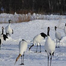 たくさん居すぎでしょ～～！