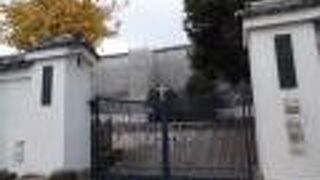 中に入ってみたかった！