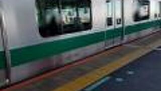 新幹線や富士山が見える