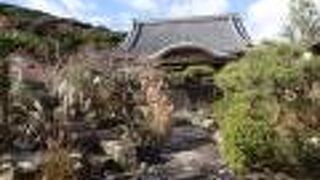 勧修寺の周辺を散策している時に、このお寺がありました。