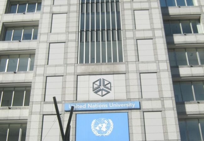 国際 連合 大学