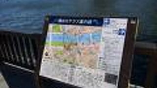 隅田川沿いの憩いの場