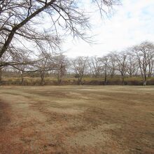 現在は本丸跡が城跡公園になっています