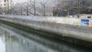 水辺に降りることができないのが残念