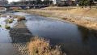 高野川と賀茂川の合流、鴨川デルタ