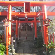 全体の様子です。