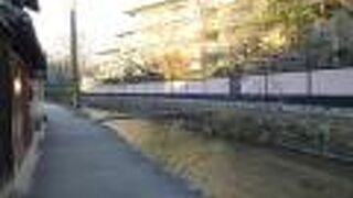 白川沿いを歩いてみました。