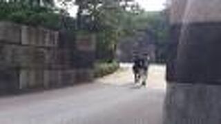 別名下車門と呼ばれていました