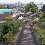 すり鉢のような丘陵地を利用した野外植物園