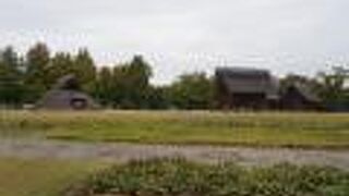 弥生時代前期の集落と水田が隣接して発見