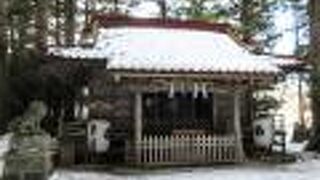 樹齢約1500年の雌雄杉です