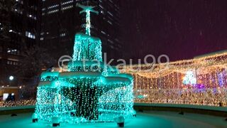 雪の中のイルミネーションって何気に初めてで結構感動しました