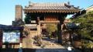 庭木の雰囲気が良い寺院