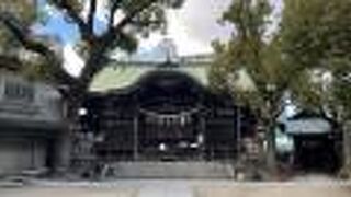 梅が咲いていました