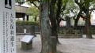 少年期を過ごした場所