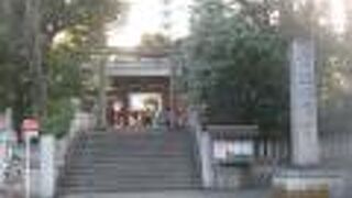 参道もある大きな神社です。