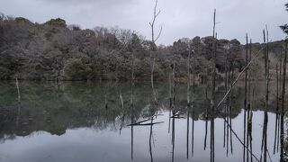 道根往還の途中にあります