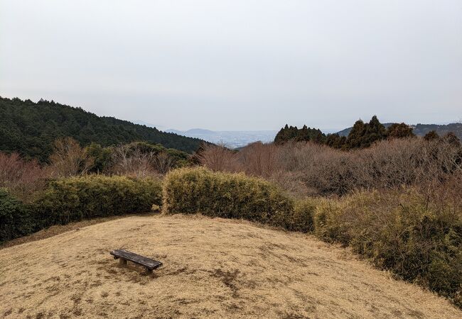 原生の森公園