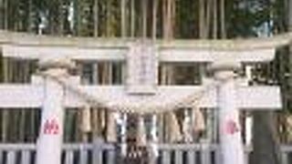 とても情景が印象的です