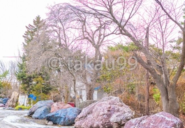 札幌景観資産　第8号「八紘学園栗林記念館（旧吉田善太郎別邸）」