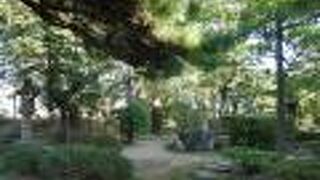 見学無料の日本庭園