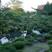 見事な日本庭園