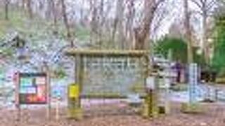 天然記念物に指定されています