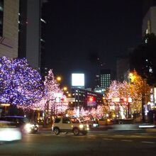 綺麗でした