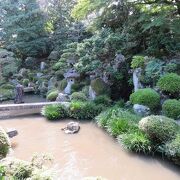 坂本の門跡寺院にある池泉鑑賞式庭園