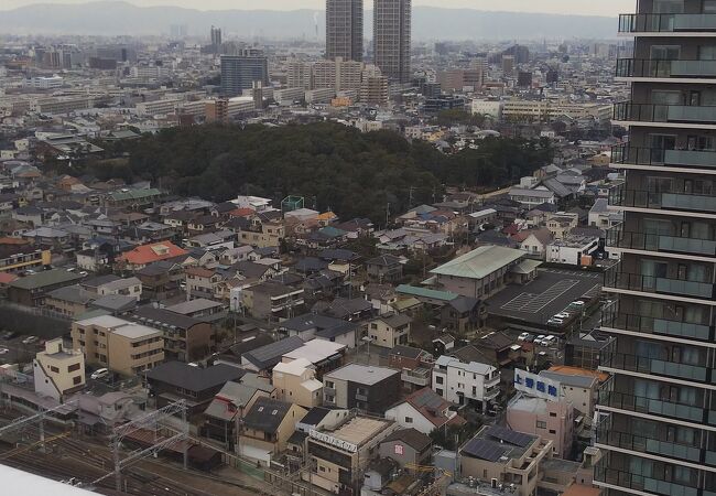 堺市役所の展望ロビーからパチリ