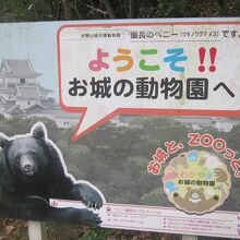 ご高齢の園長さんは動物園の顔としてまだまだ現役！