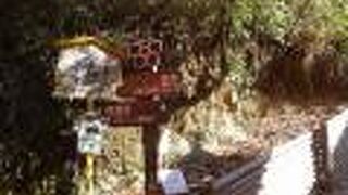 ハイキングコース（？）の途中にある神社です。