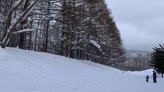 粉雪・神雪！