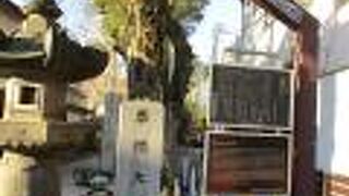 千代の富士の銅像が建てられていました