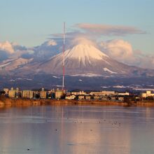 大山アップ、手前の鉄塔に隼がいました。